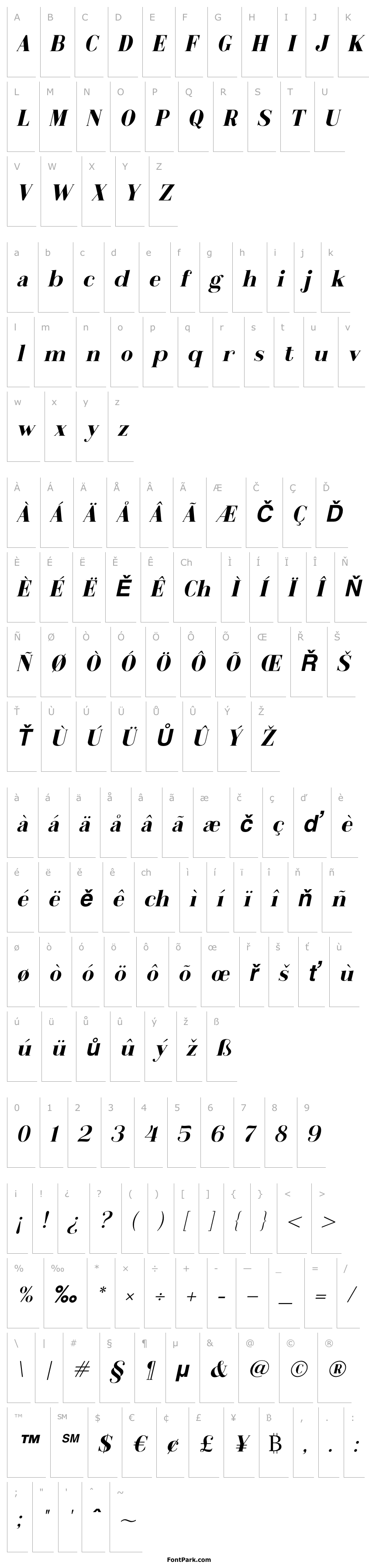 Overview Metafiz Bold Italic