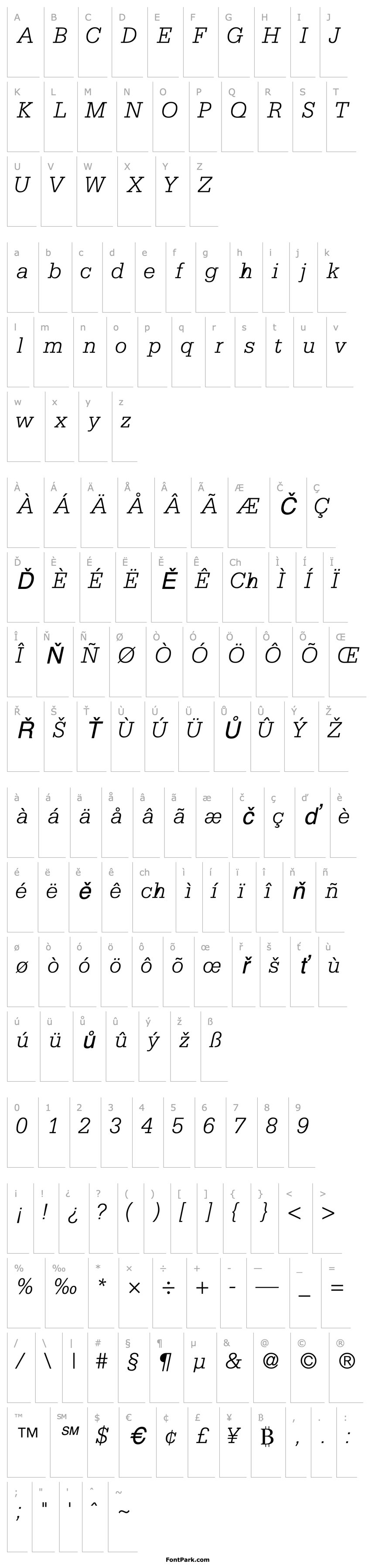 Přehled MetronLightSSK Italic