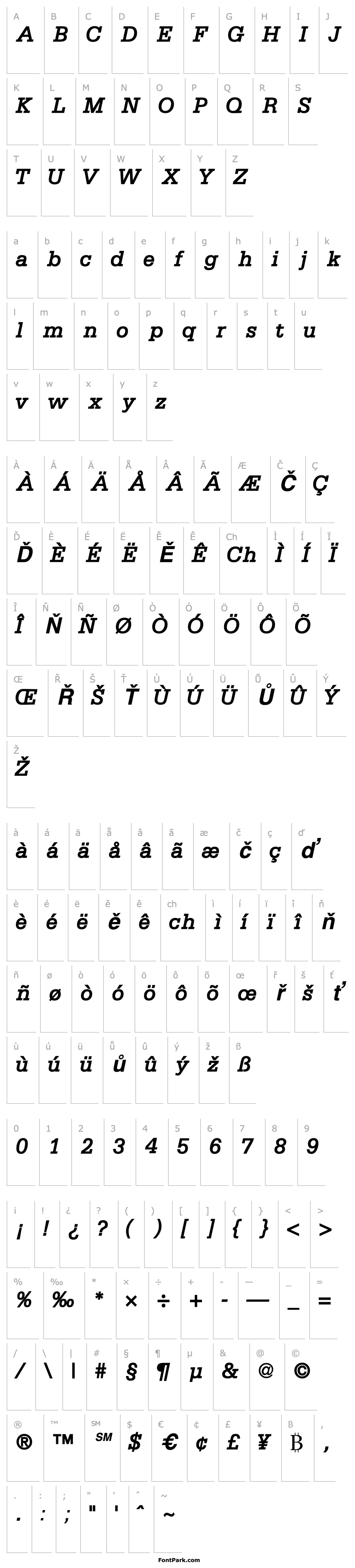 Přehled MetronSSK BoldItalic