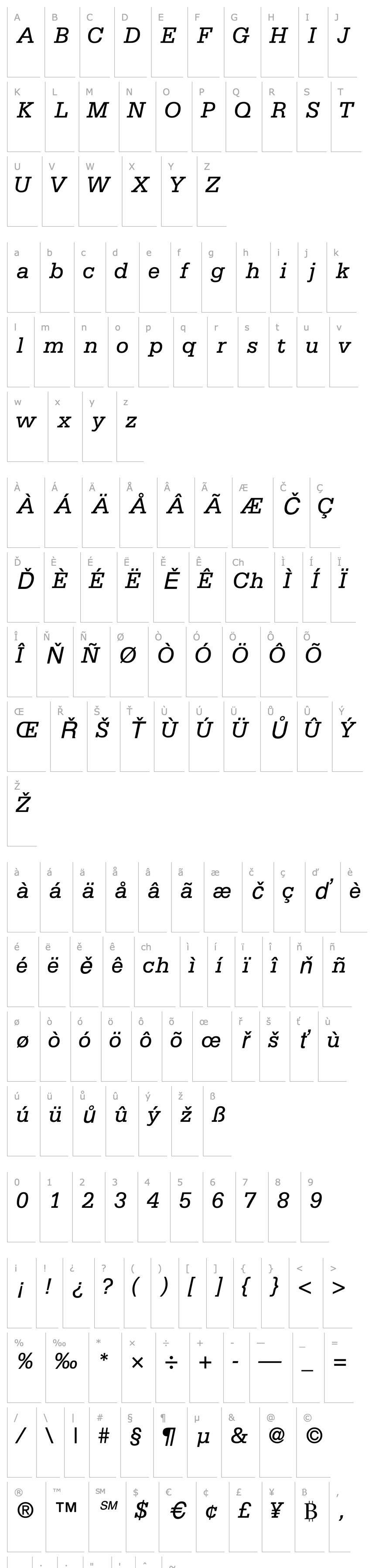 Overview MetronSSK Italic