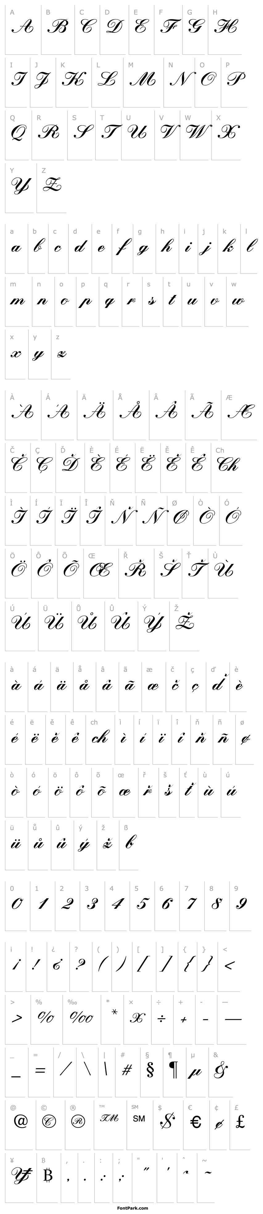 Přehled MgRoyalScript UC Pol Normal