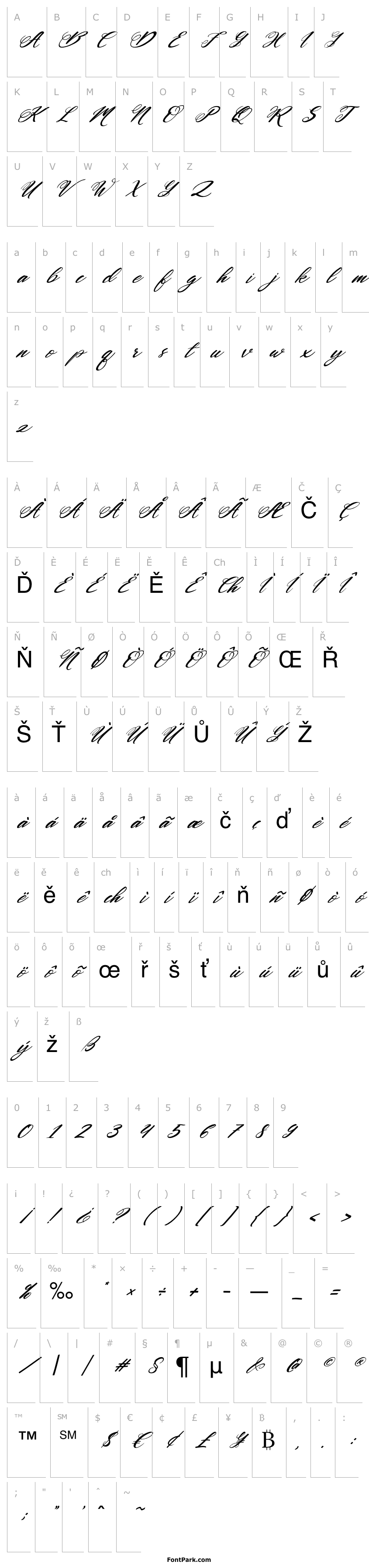 Přehled Mickylet Italic