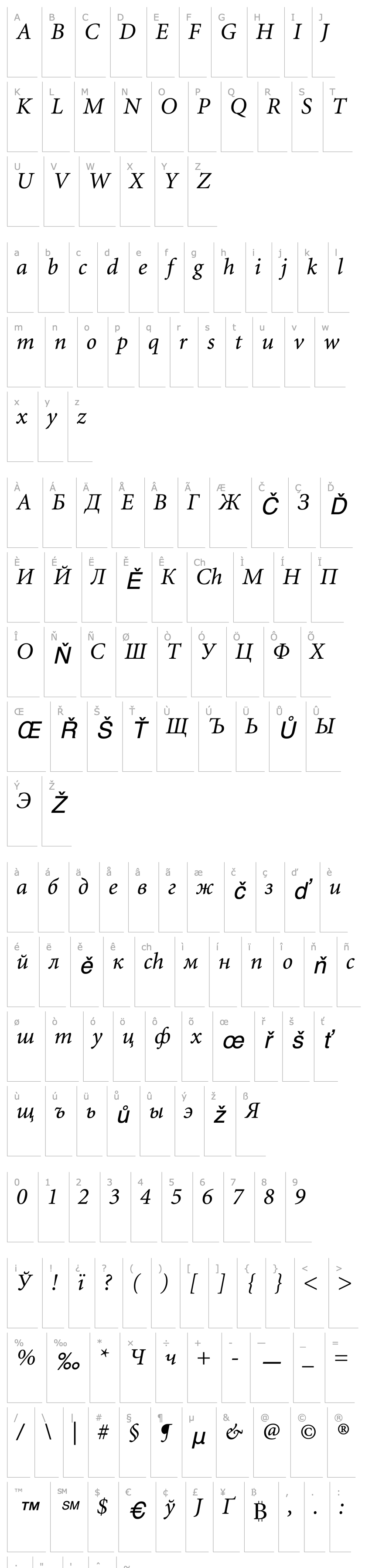 Přehled MinionCyrillic-Italic