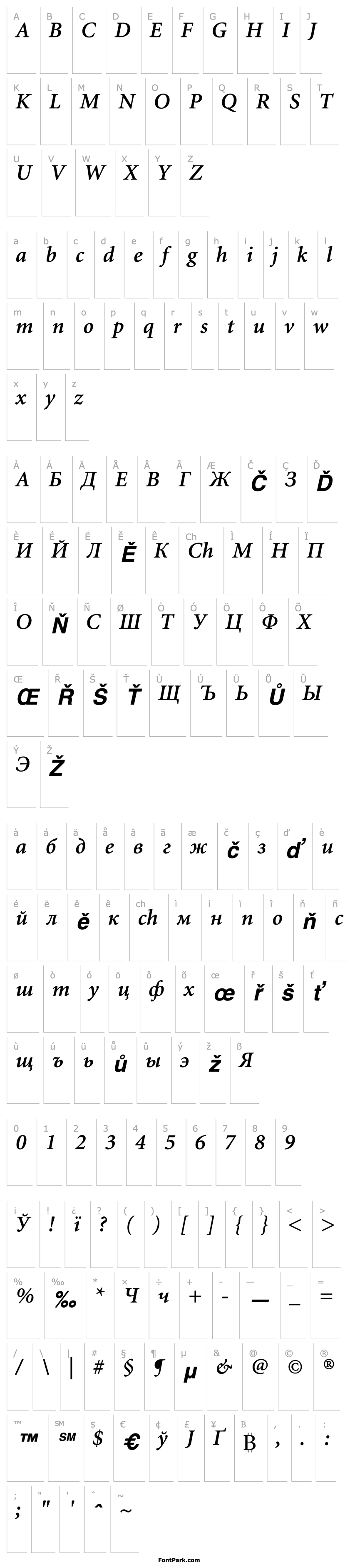 Přehled MinionCyrillic-SemiBold Italic