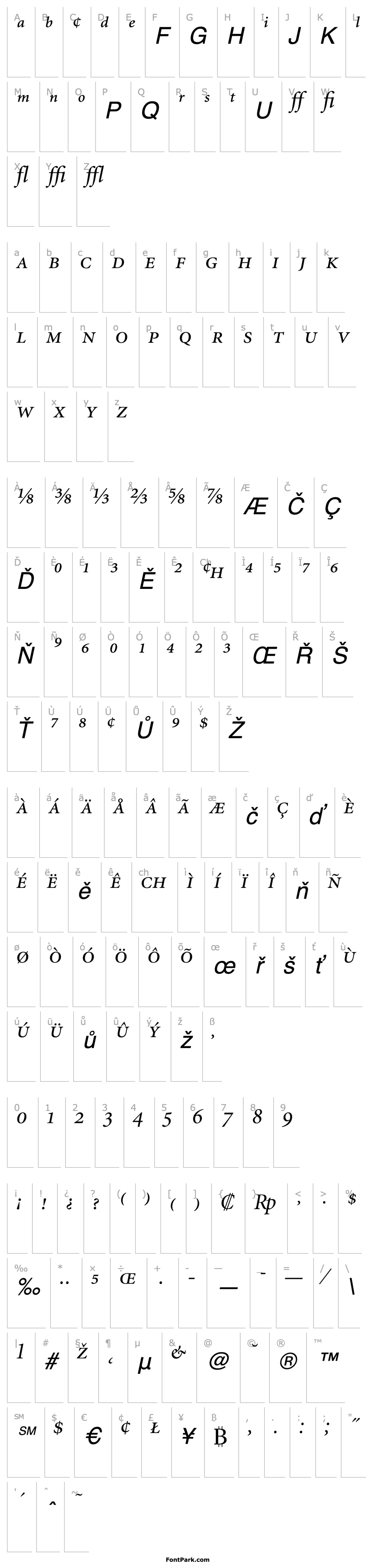 Overview MinionDisplayExpert-Italic