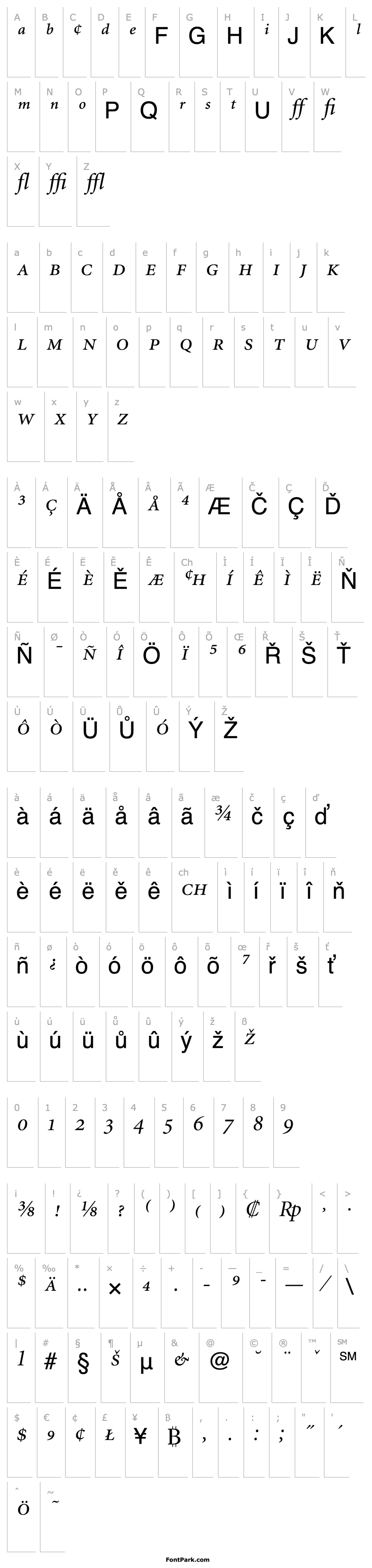 Overview MinionExp-DisplayItalic