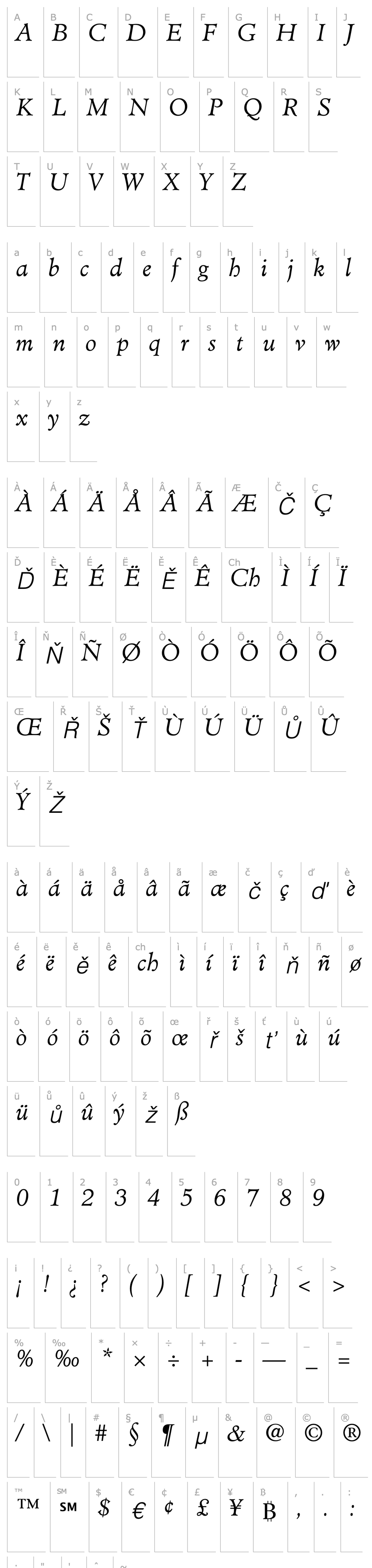 Overview Minister-Light Italic