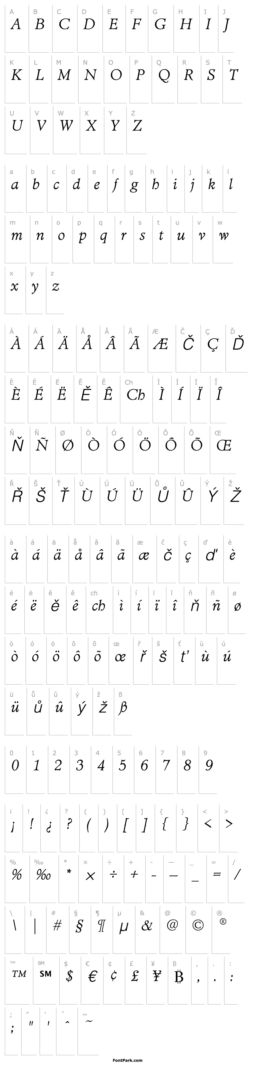 Přehled MinisterEF-LightItalic