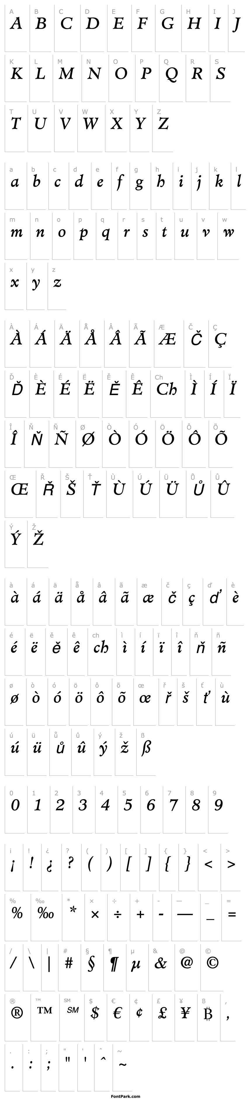 Přehled MinisterStd-BookItalic