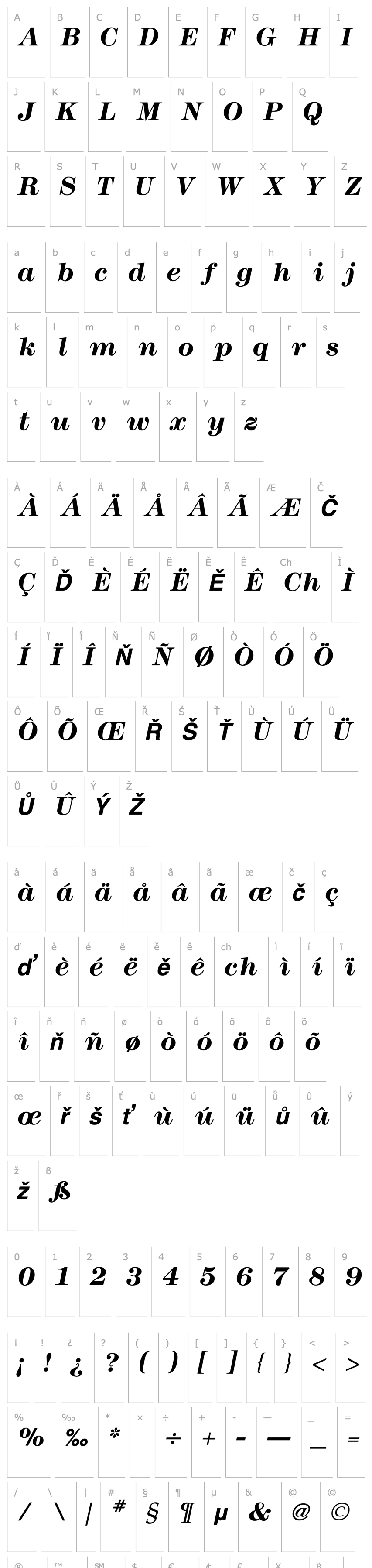 Overview Modern Bold Italic