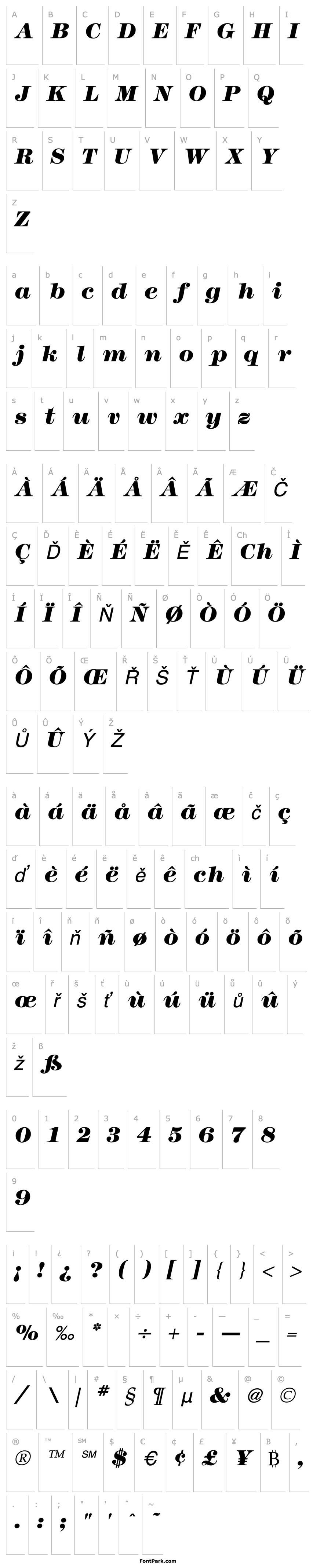 Overview Modern Italic