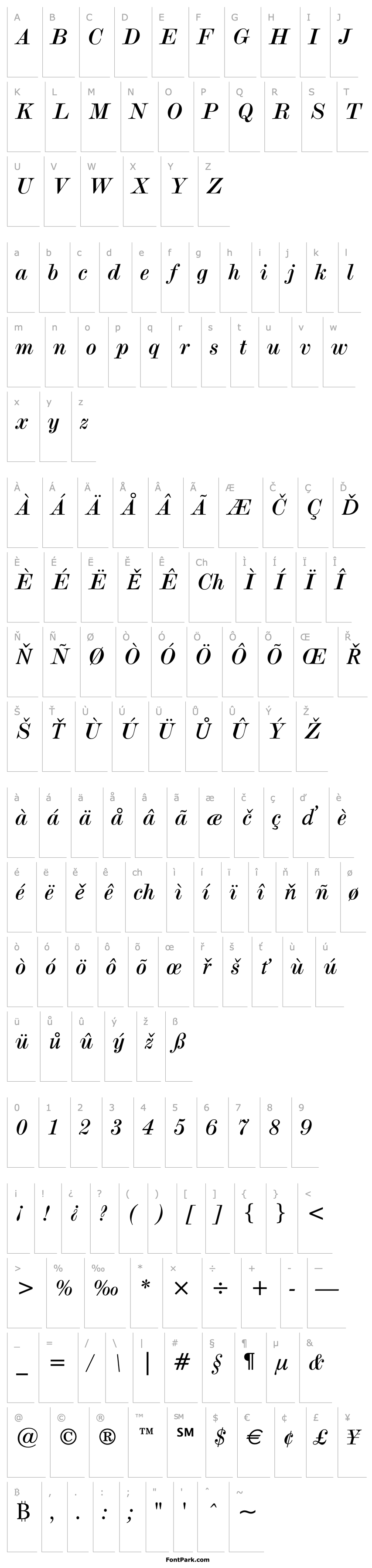 Overview Modern No.20 Italic BT