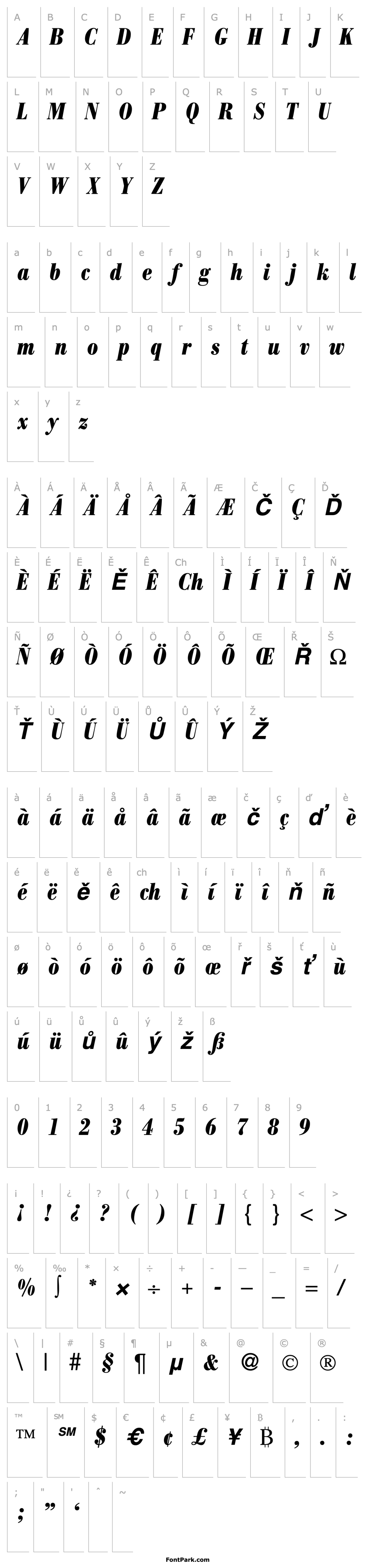 Přehled ModernBodoniCondHeavy-RegularItalic