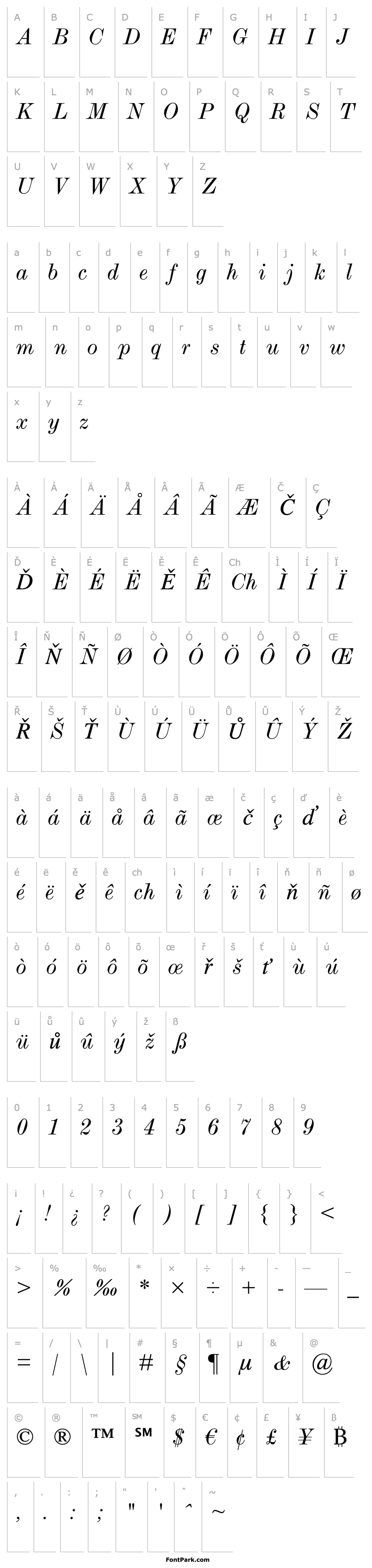 Přehled ModernMT Extended Italic