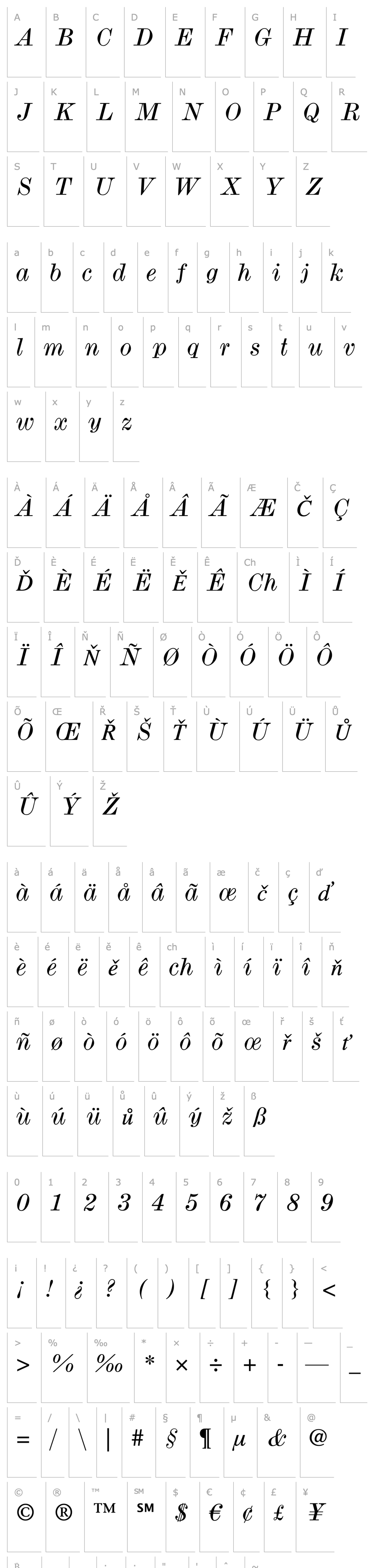 Přehled ModernMT Wide Italic