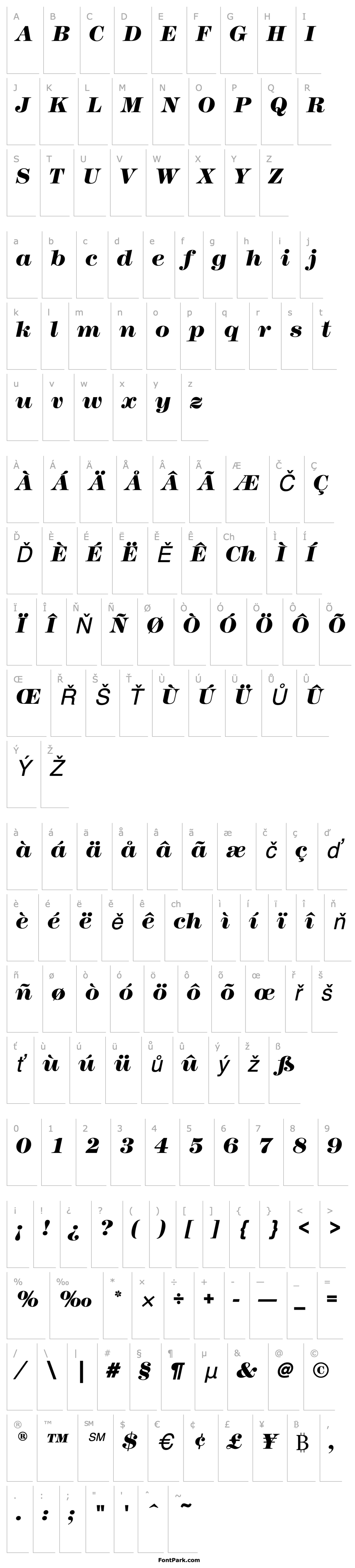 Přehled ModernNo216EF-HeavyItalic