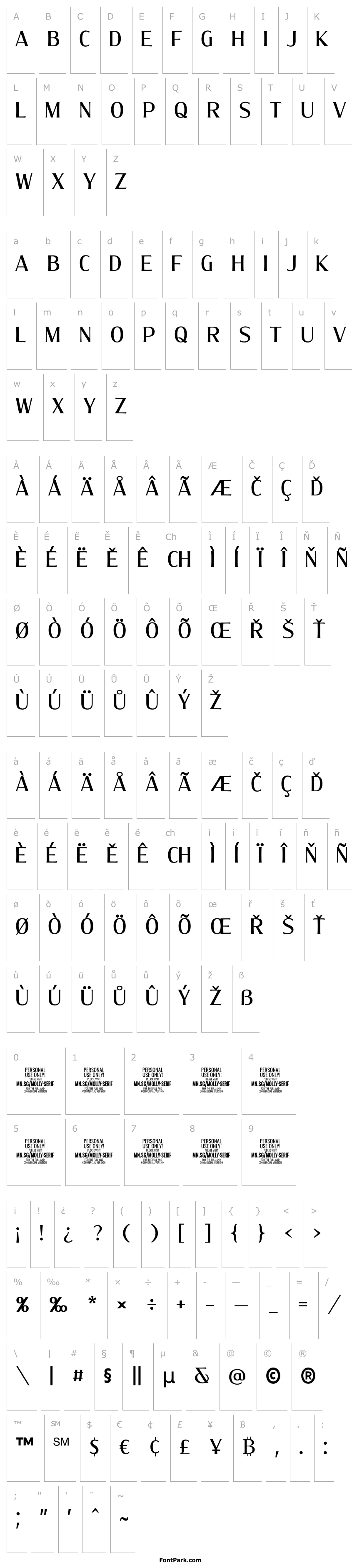 Overview MollySerifCPERSONAL-Medium