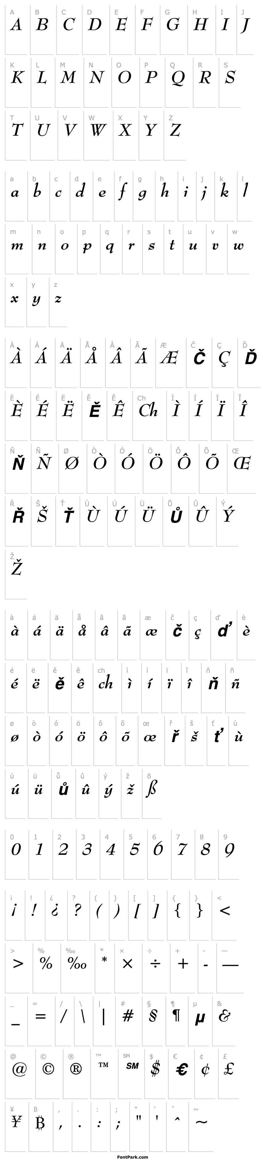 Overview Monitor SSi Bold Italic