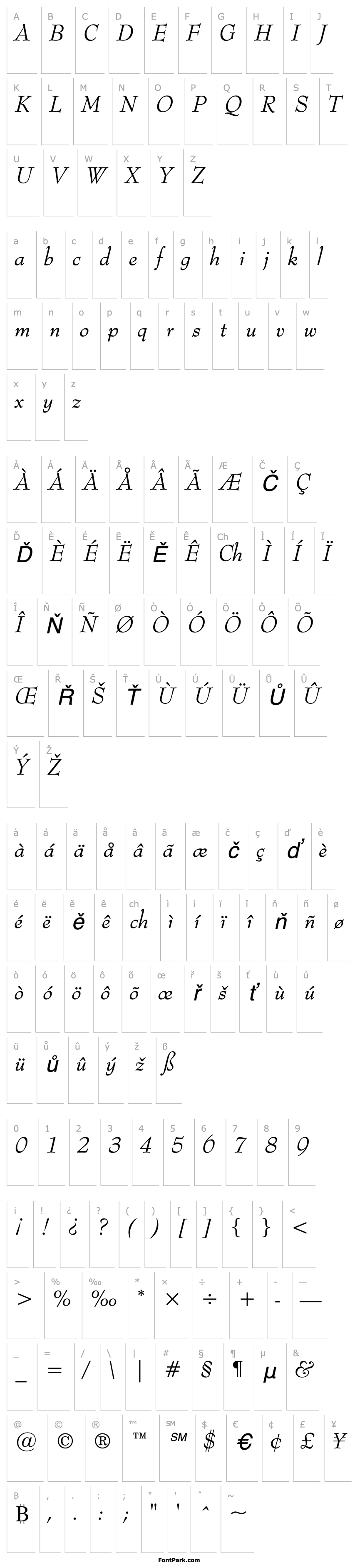 Overview Monitor SSi Italic