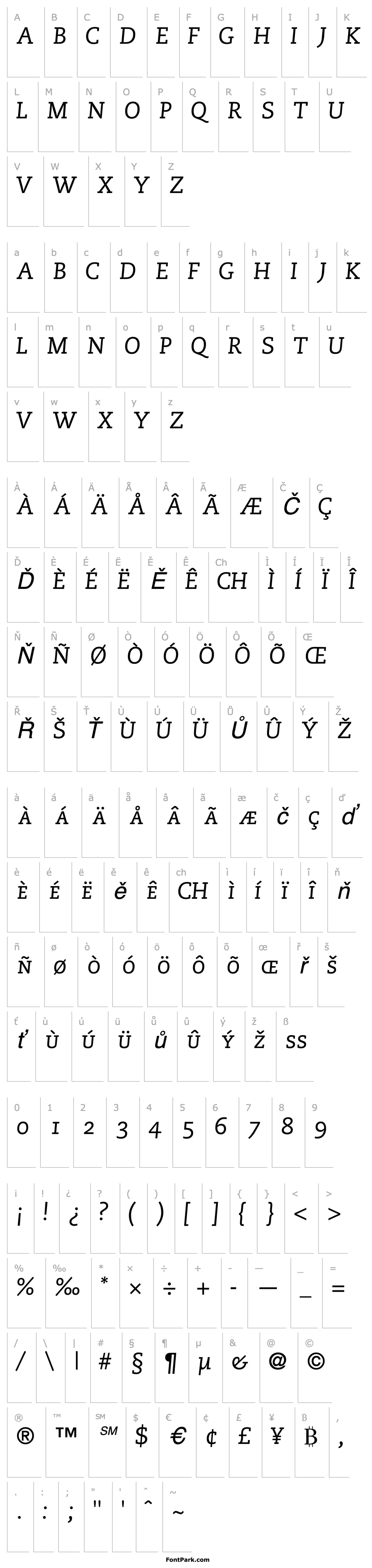 Přehled MonologueCapsSSK Italic