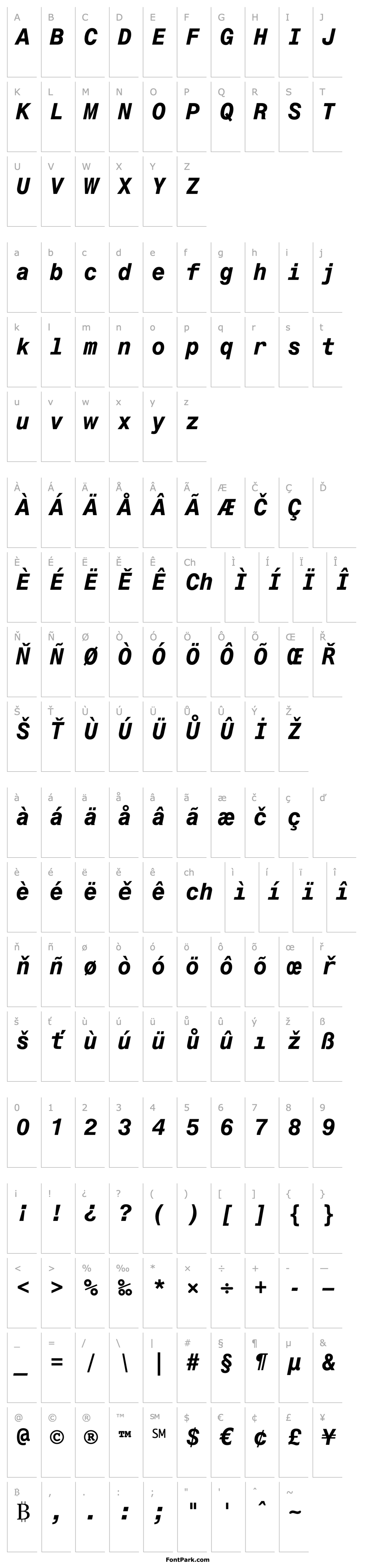 Overview Monospace 821 Bold Italic BT