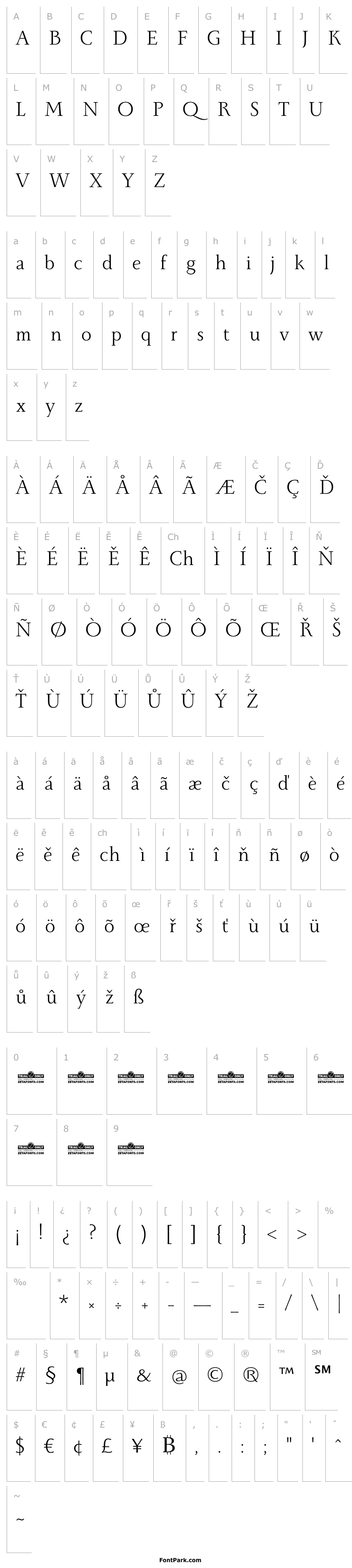Přehled Monterchi Serif Trial Book