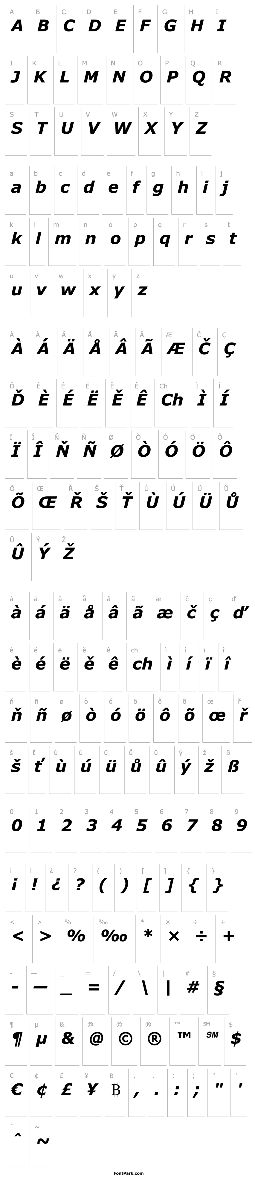 Přehled MS Reference Sans Serif Bold Italic