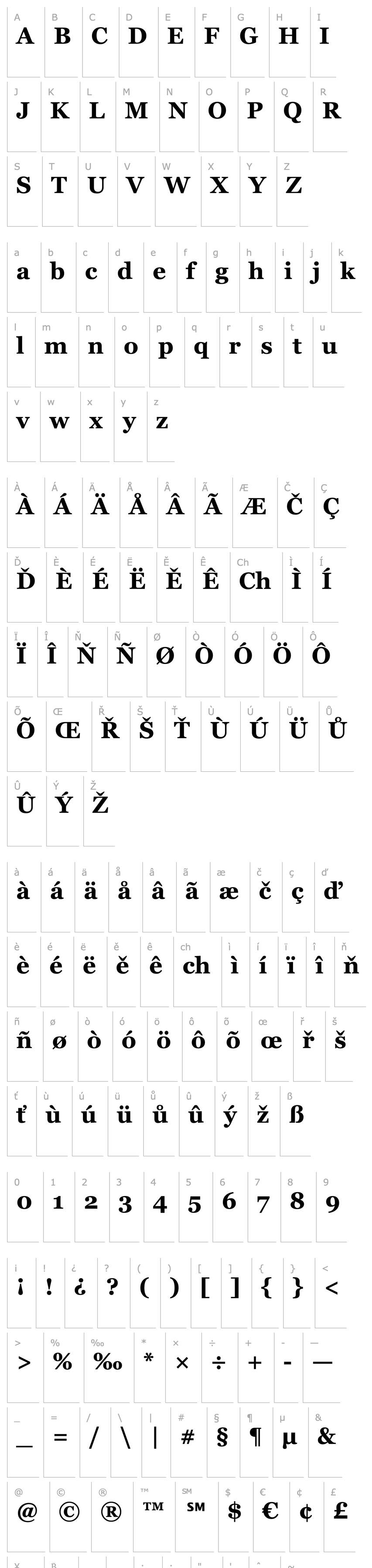 Přehled MS Reference Serif Bold