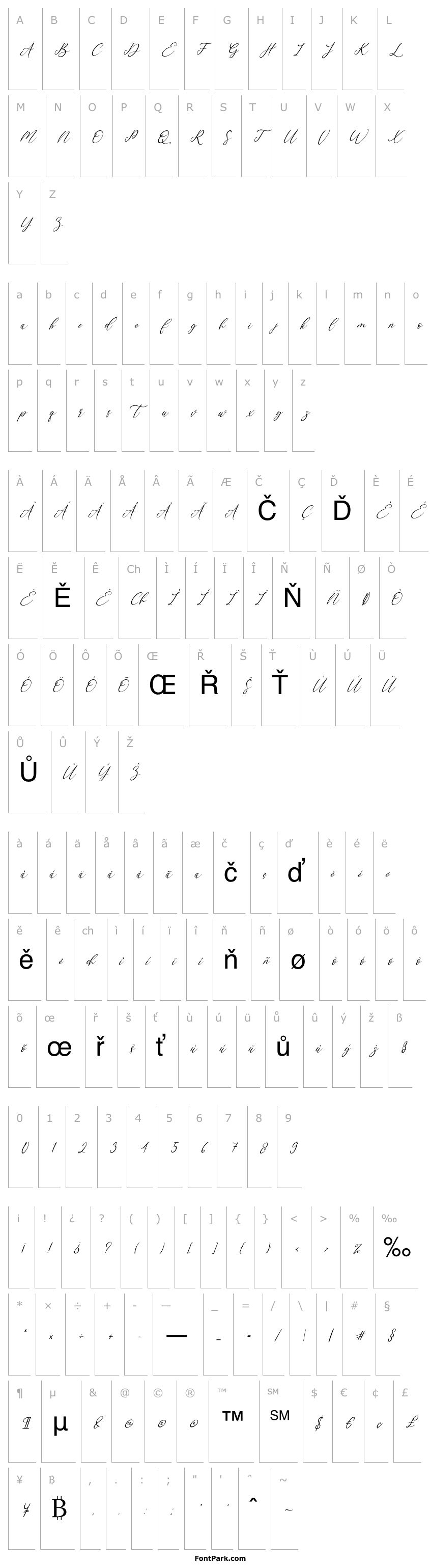 Overview My Happy Italic