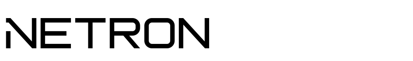 Preview Netron