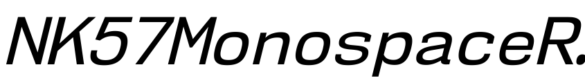 Preview NK57MonospaceRg-Italic