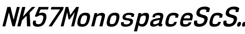 Font NK57MonospaceScSb-Italic by Ray Larabie