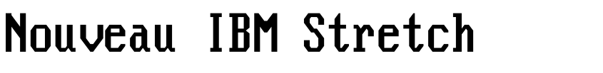 Preview Nouveau IBM Stretch