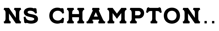 Preview NS Champtone Serif