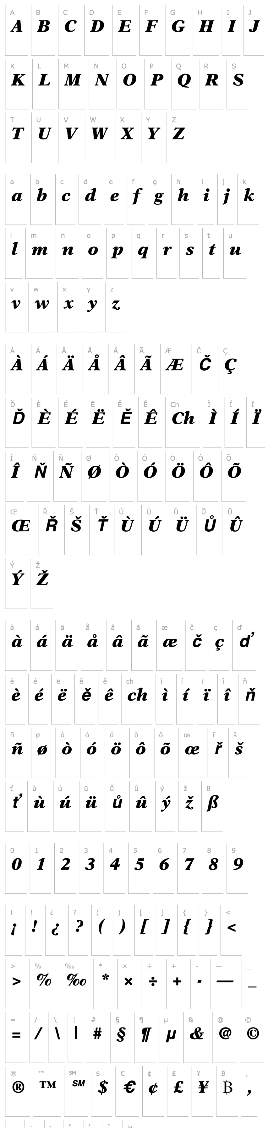 Přehled NewAster-BlackItalic