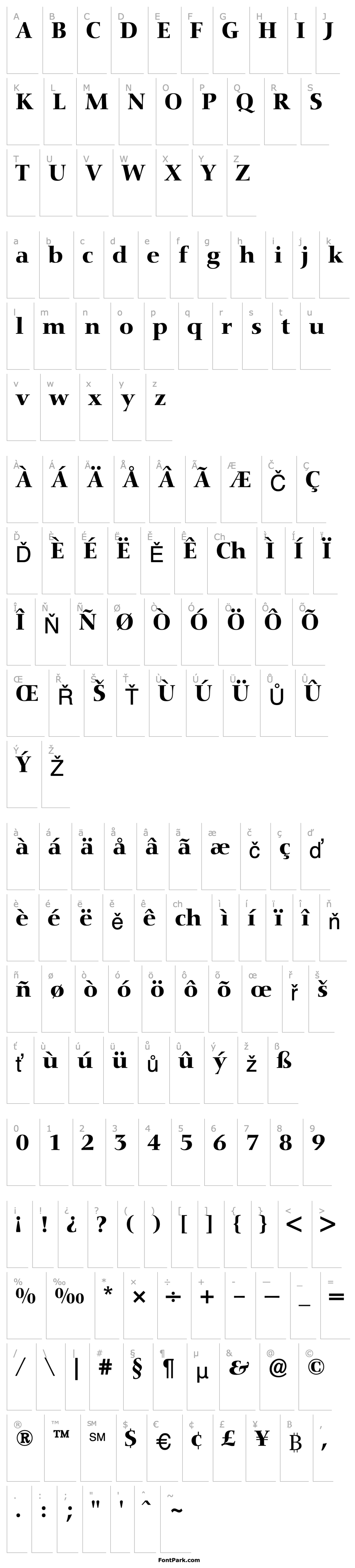 Přehled Nofret-Medium