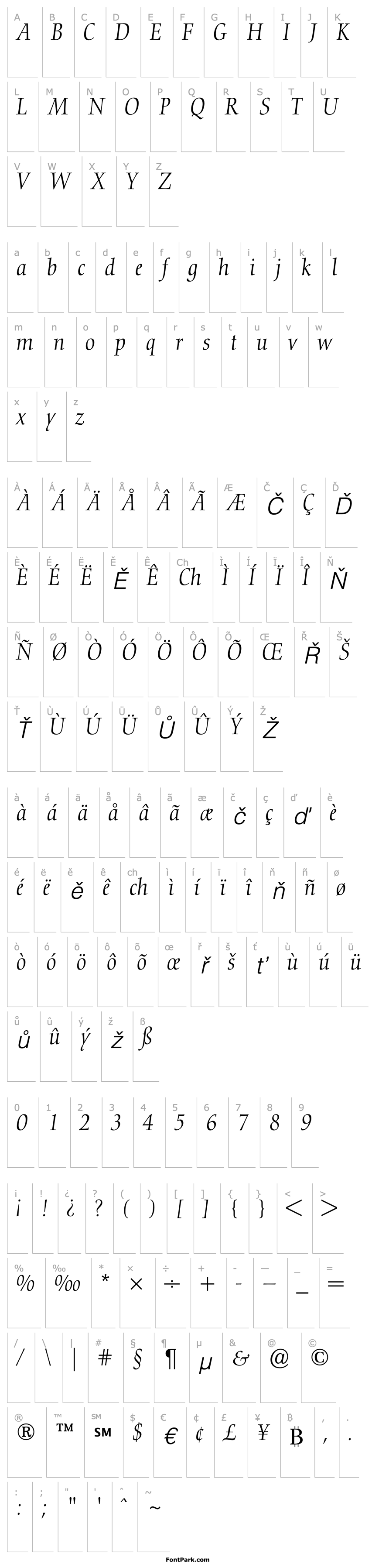 Overview Nofret-Light Italic