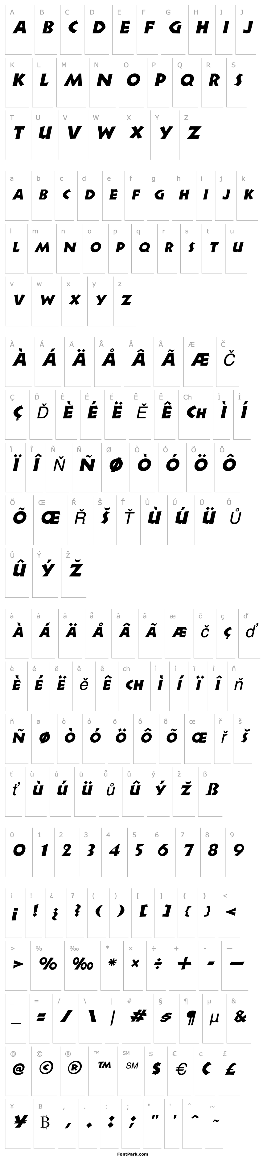 Přehled Newell Italic