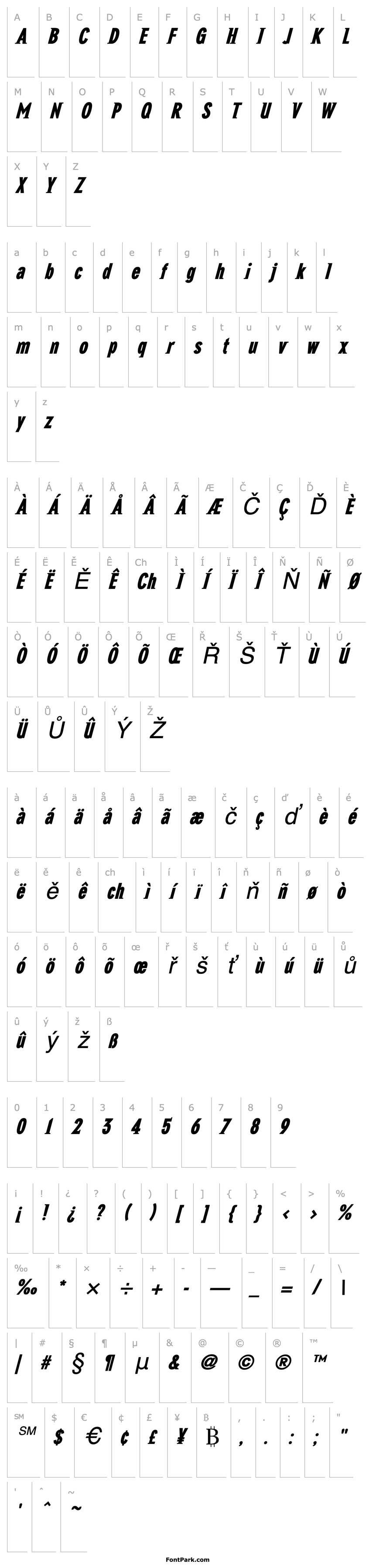 Overview NewGlobalHeavy Italic