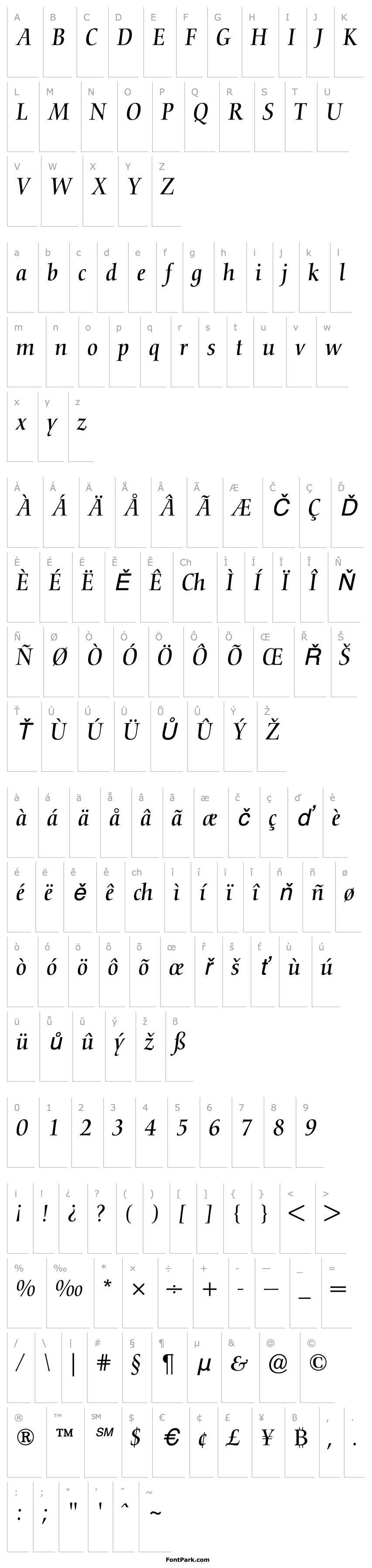 Přehled Nofret Italic