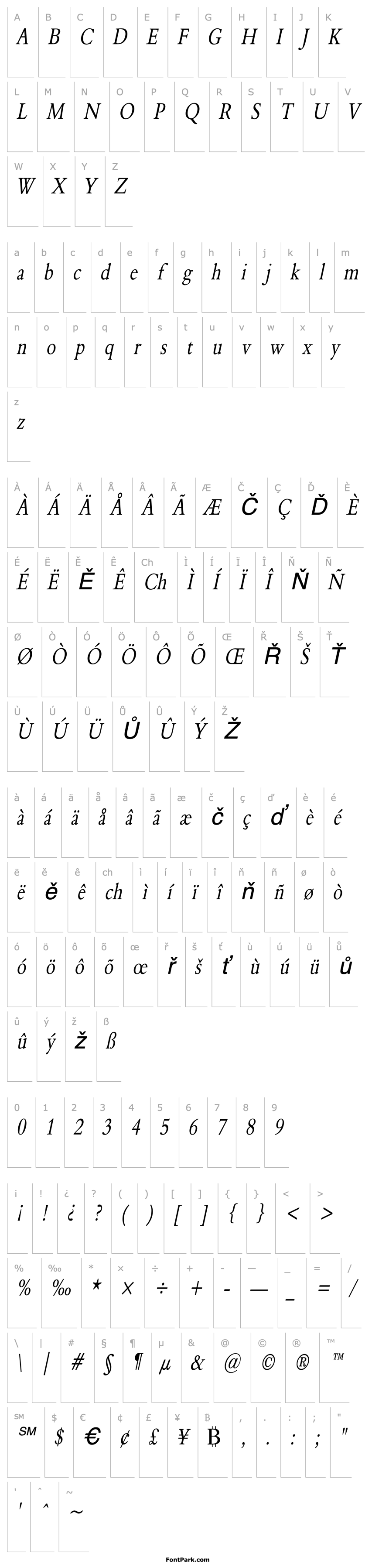 Přehled Nadine 2 Thin Italic