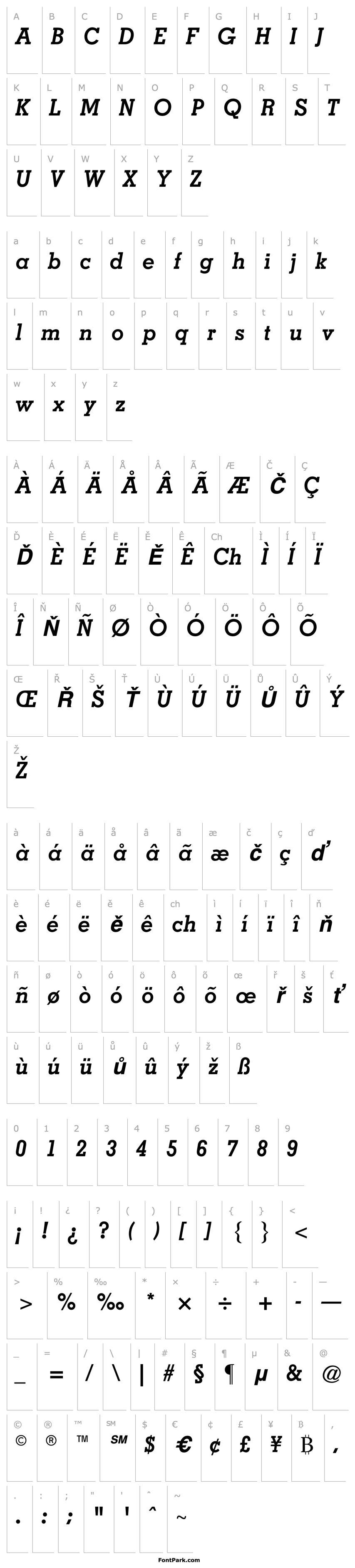 Overview Nashville Bold Italic