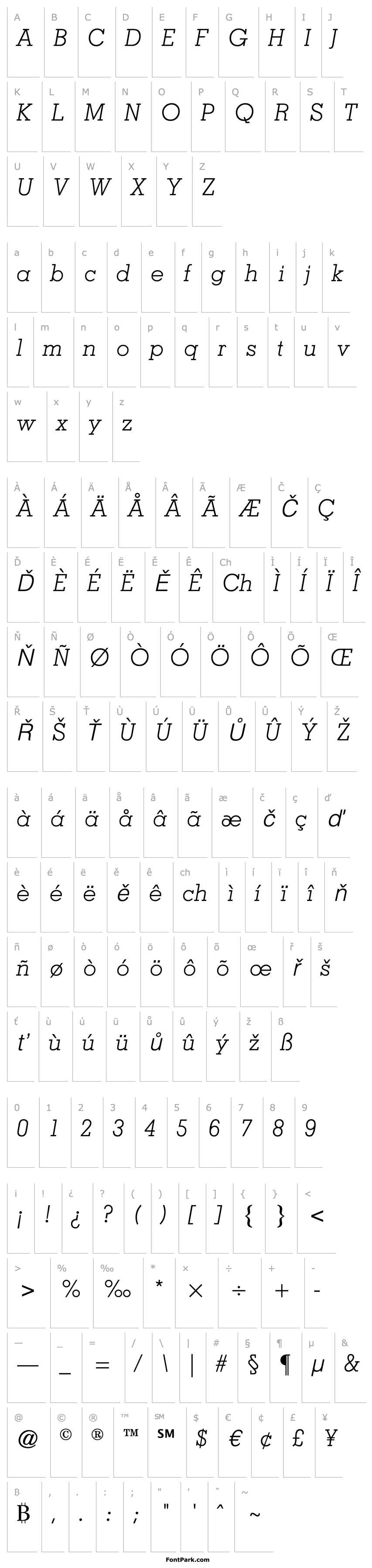 Overview Nashville Light Italic