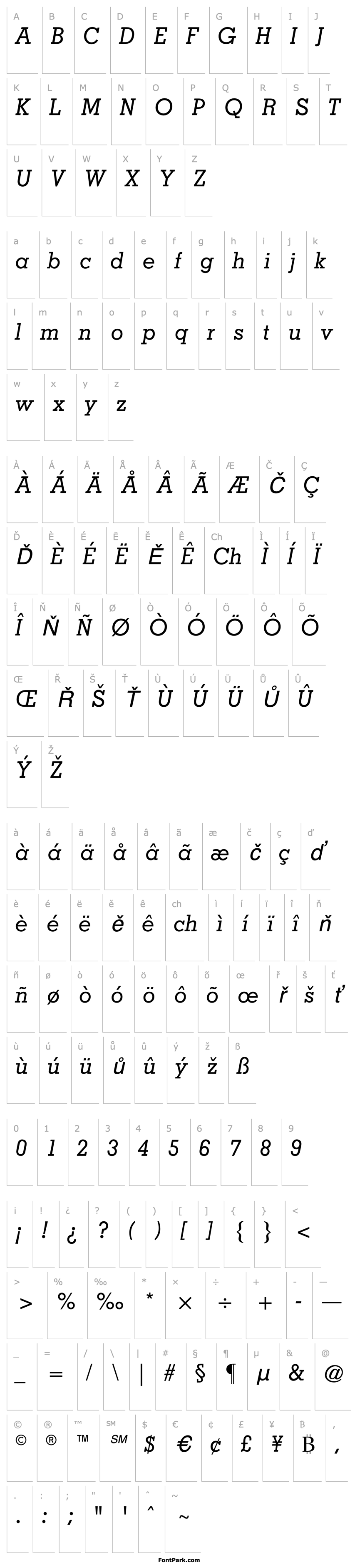 Přehled Nashville Medium Italic