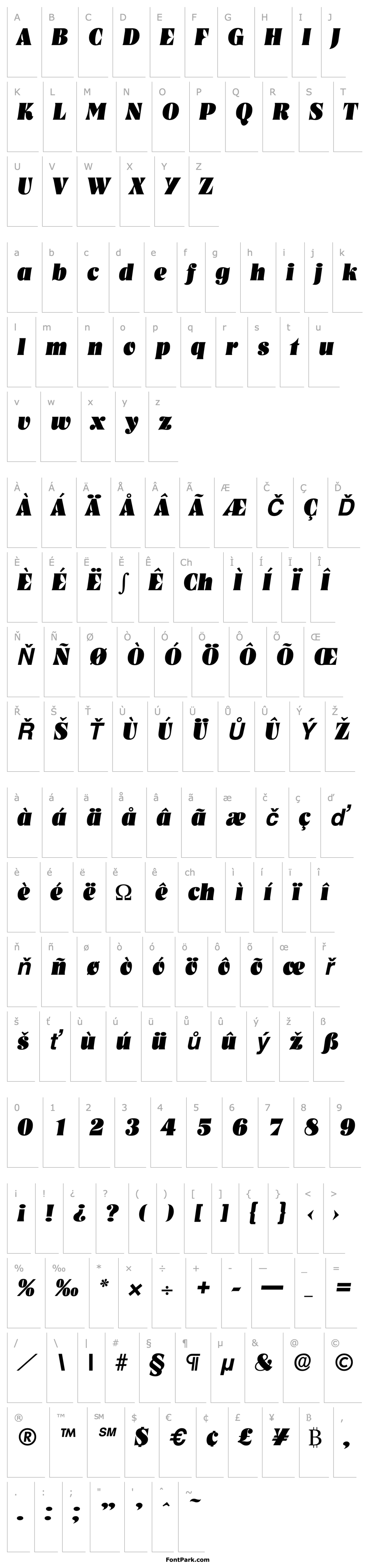 Přehled Nashville-Serial-Heavy-RegularItalic