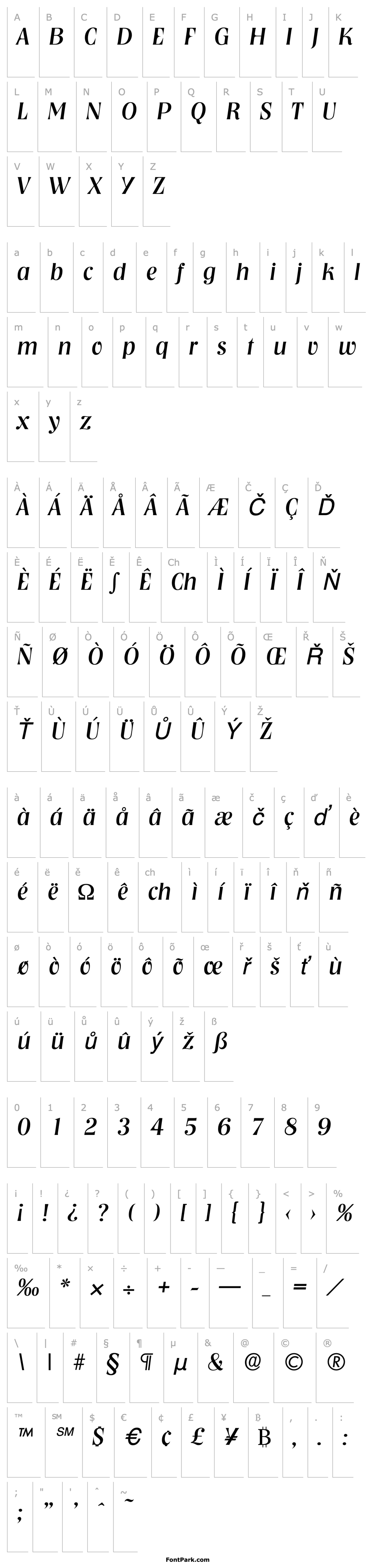 Overview Nashville-Serial-RegularItalic DB