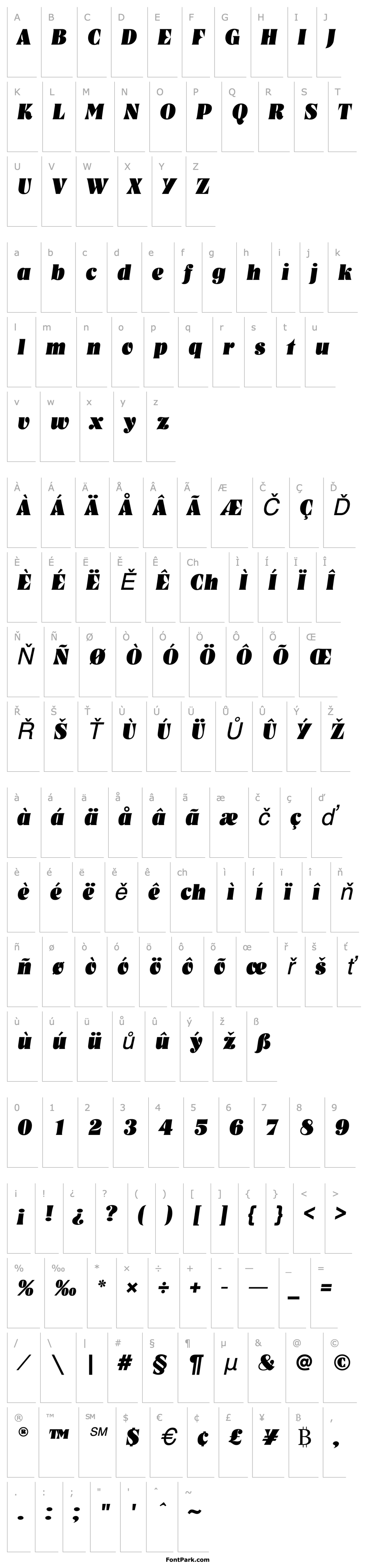 Přehled NashvilleEF-HeavyItalic