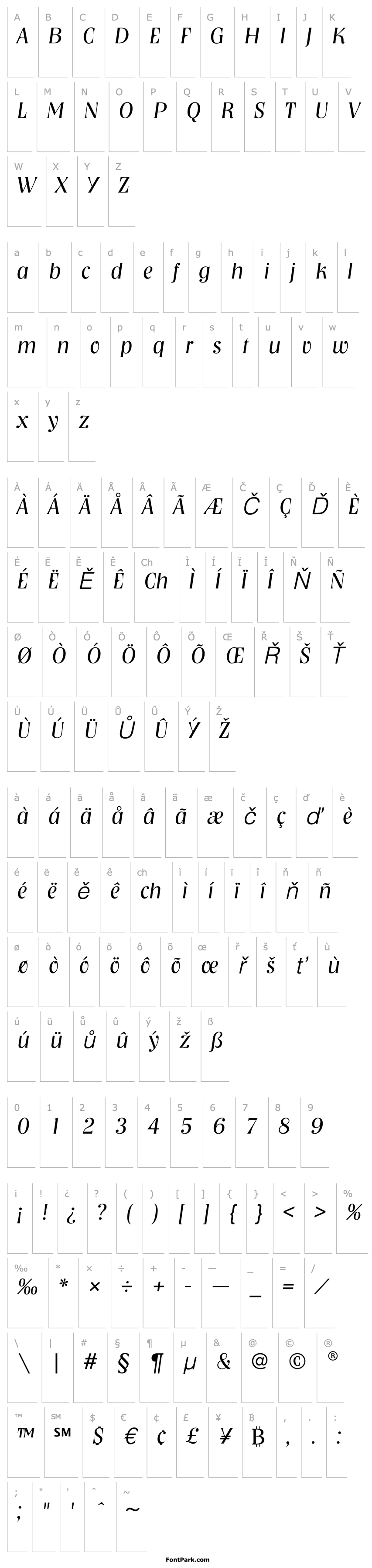 Přehled NashvilleEF-LightItalic