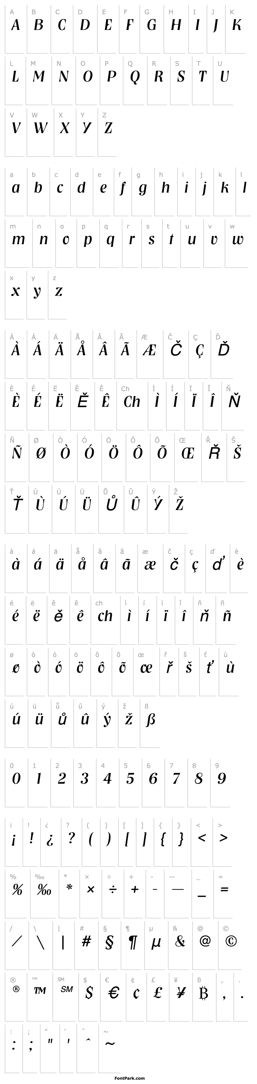 Přehled NashvilleEF-RegularItalic