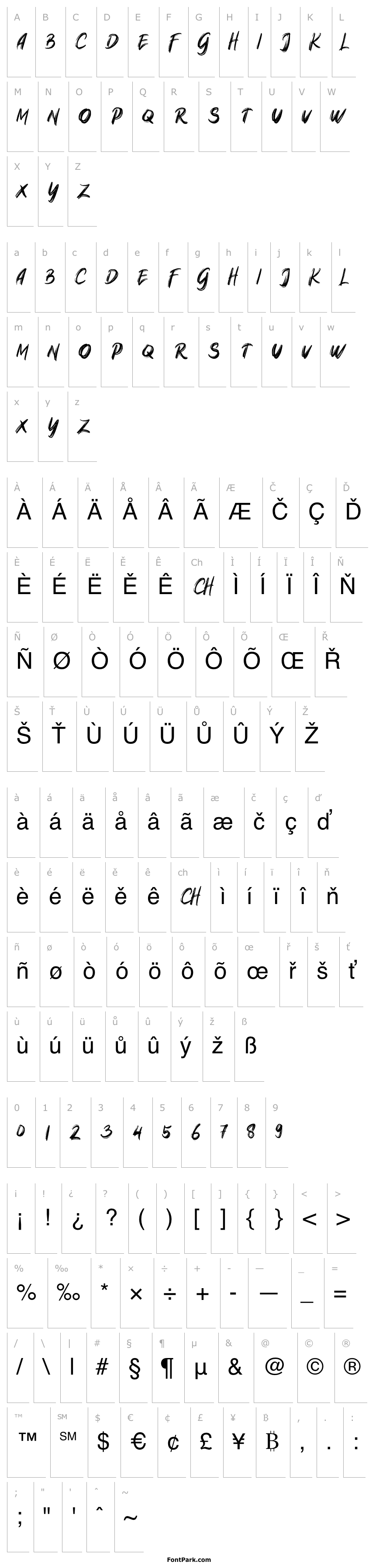 Přehled NativeBrushFREE